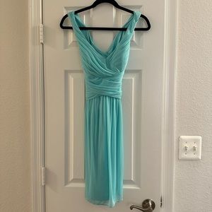 David’s Bridal Bridesmaid dress